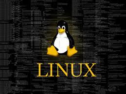 Memaksa User Lain Keluar di Linux