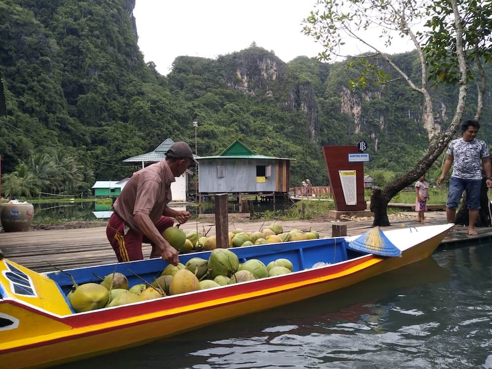 rammang-rammang kelapa